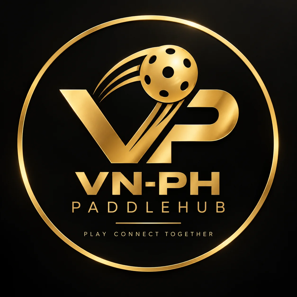 VN-PH Paddlehub